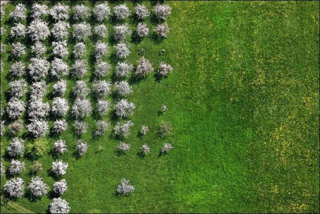 Striking Birds Eye View Photos