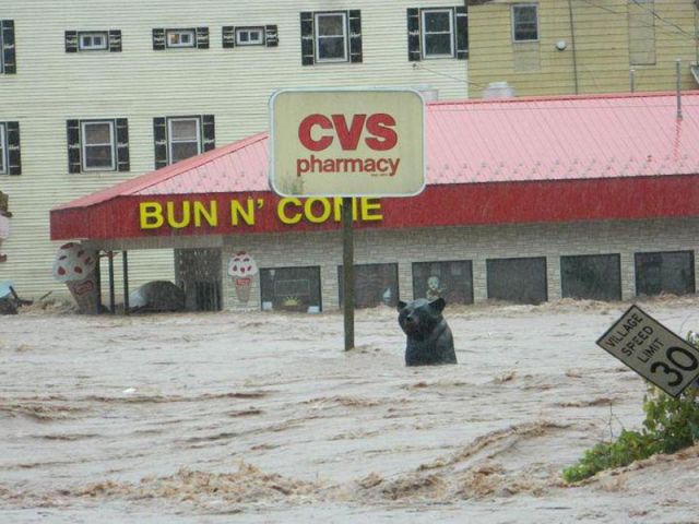 Scary Hurricane Irene