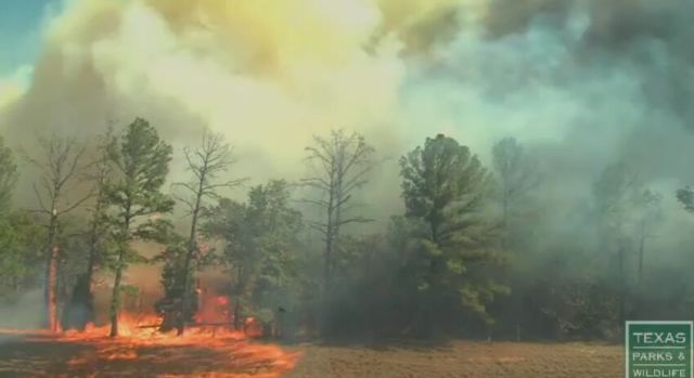 See How Fast Wildfires Spread [VIDEO]