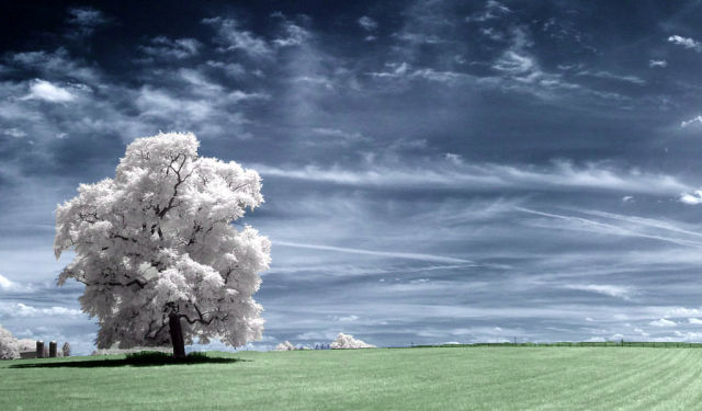 Mind Blowing Infrared Photography