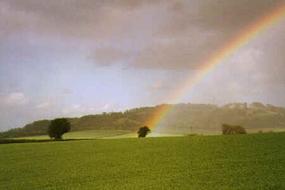 End of the Rainbow Surprises