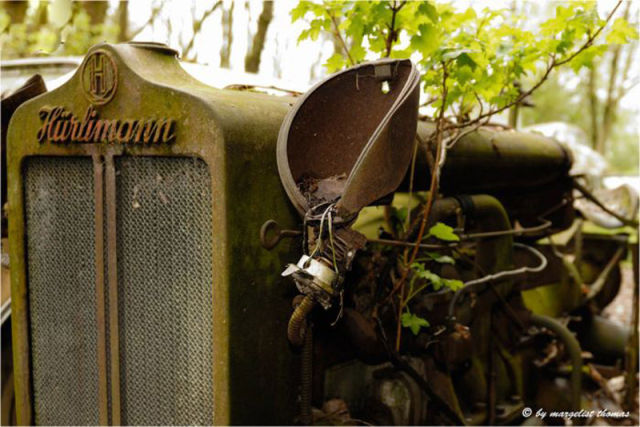 Car Cemetery in Switzerland