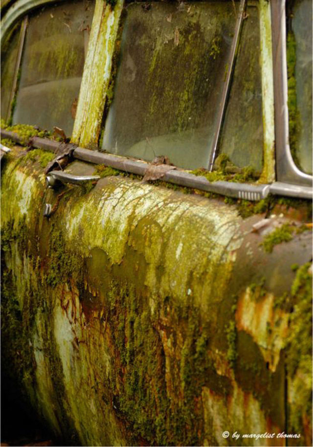 Car Cemetery in Switzerland