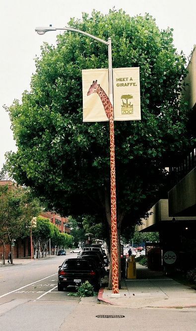 Genius Street Pole Advertising