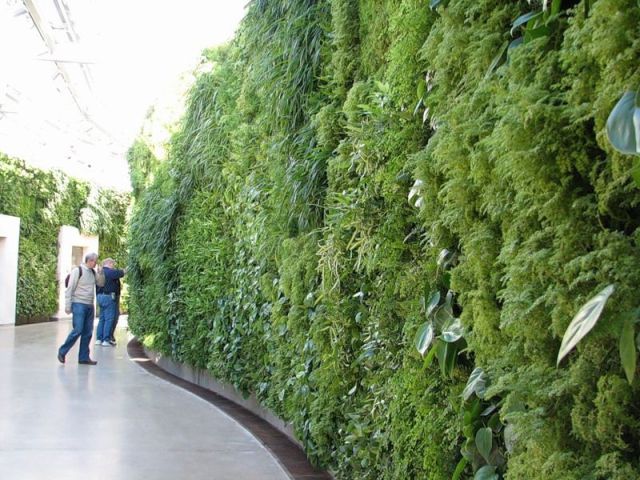 Stunning Vertical Gardens