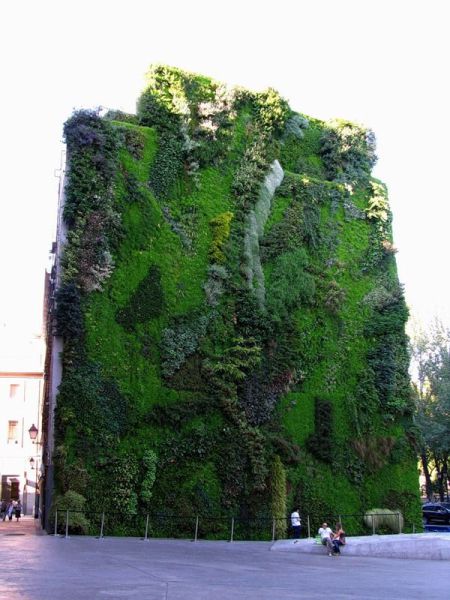 Stunning Vertical Gardens