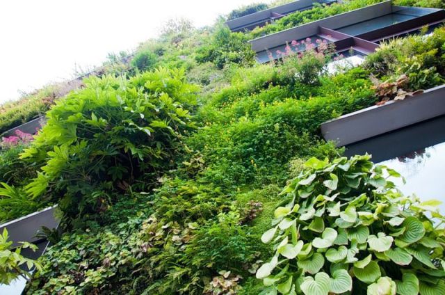 Stunning Vertical Gardens