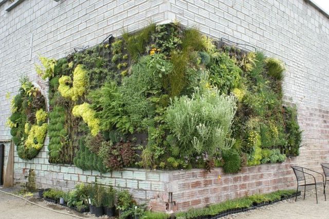 Stunning Vertical Gardens