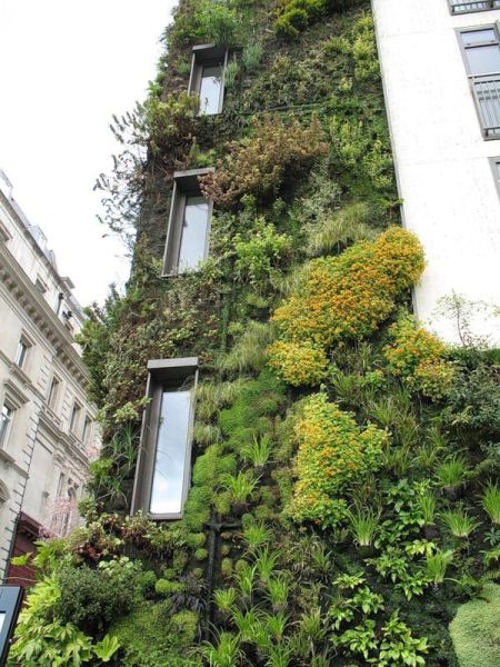 Stunning Vertical Gardens