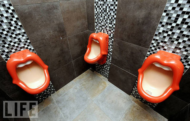 The Worlds Strangest Toilets 22 Pics