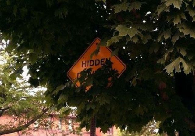 Funny WTF Signs