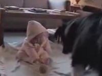 Dog Teaches Baby How to Play Fetch
