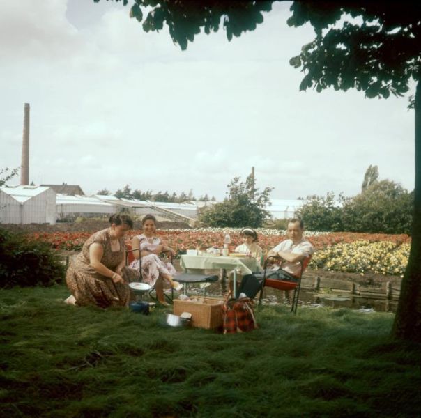 A Glance in the Past of Netherlands through These Incredible Old Pictures. Part 2