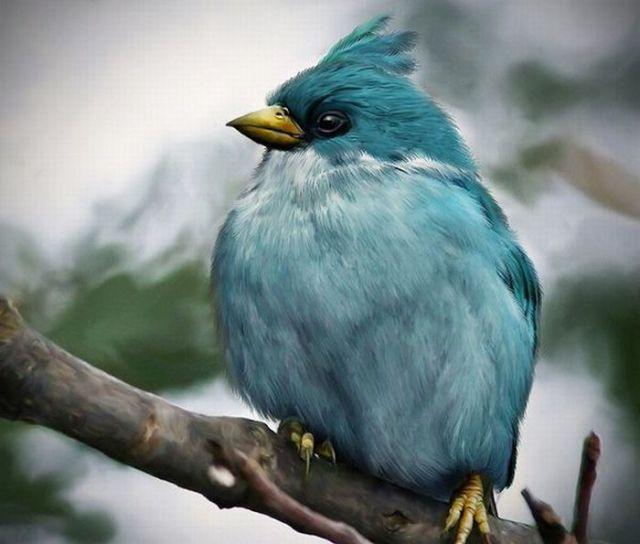 Angry Birds That Look So Real