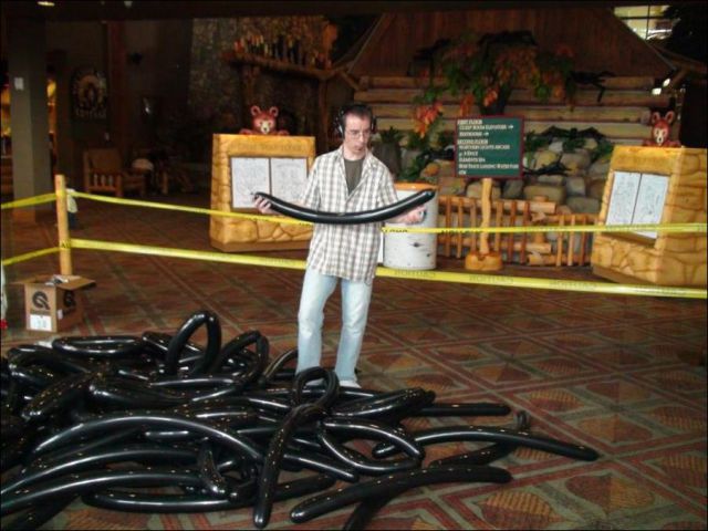 The Largest Modelling Balloon Spider in the World