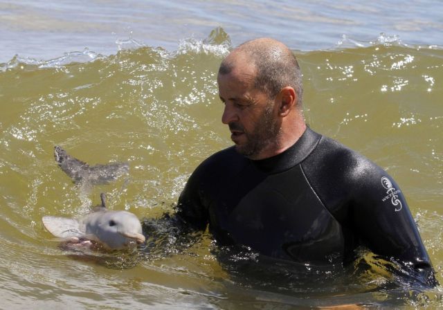 Endless Cuteness: A Man Nursing a Little Dolphin