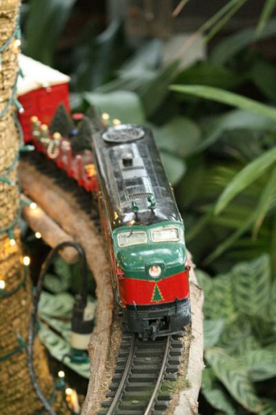 Amazing Railway Models