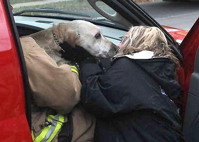 Firefighters Resuscitate Dog By Blowing in His Nose