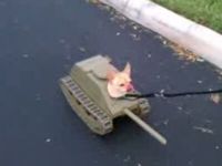 Funny Tank Costume for Little Dog