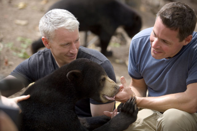What do Animals and Anderson Cooper Have in Common?
