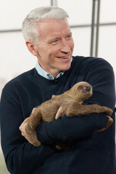 What do Animals and Anderson Cooper Have in Common?