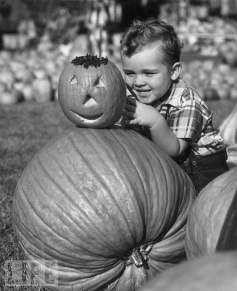 The Evolution of Halloween