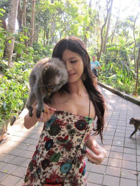 Monkeys Flirting with a Girl