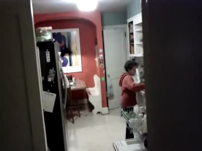 Kid Busted “Doing Dishes” His Funny Way 