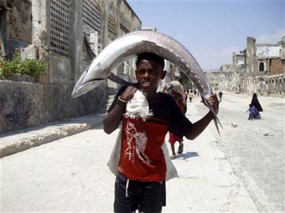 Somali Fishers