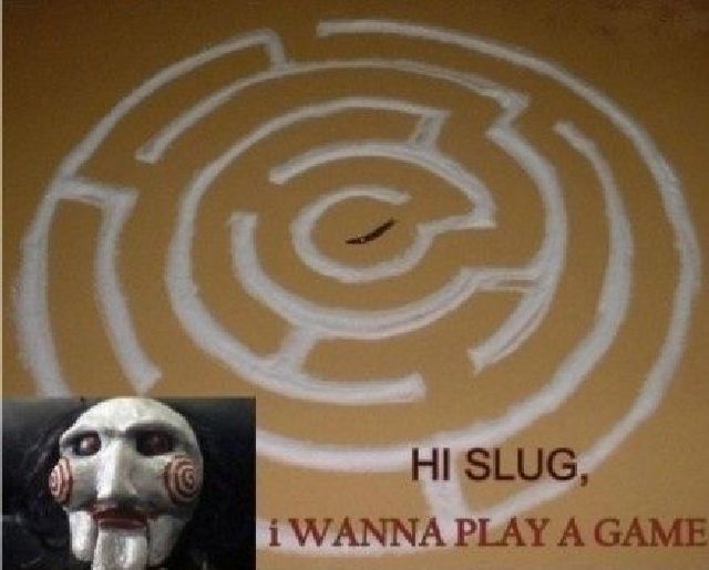 Hi Slug, I Wanna Play a Game
