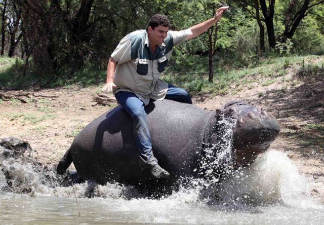 Pet Hippo Kills His Owner