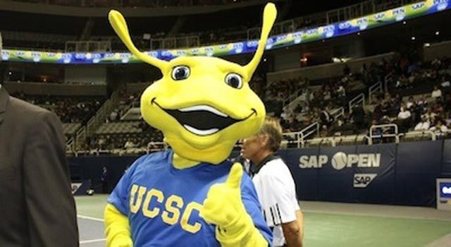 The Strangest College Mascots in the Country