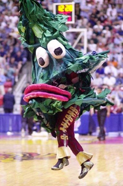 The Strangest College Mascots in the Country