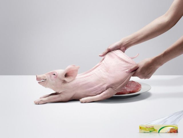 The Most Creative and Original Ads in the World