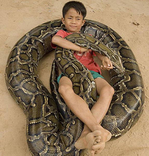 16-Foot Python Little Boy’s Best Friend