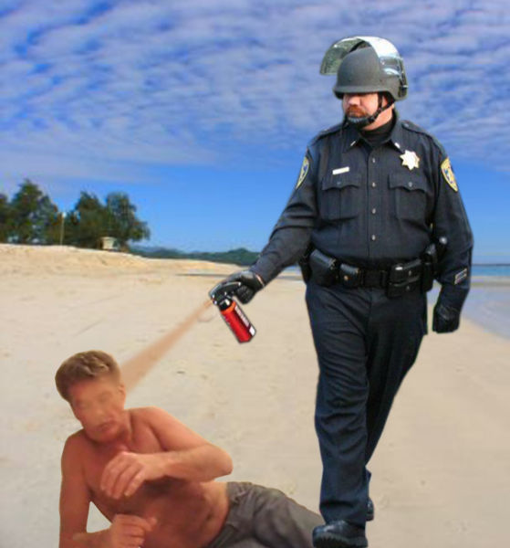 Awesome Pepper Spraying Cop Memes