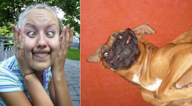 People and Animals Look-Alikes