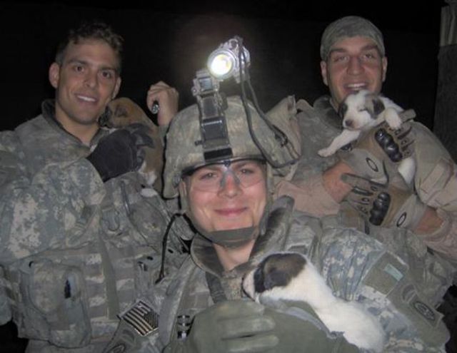 Puppy Hero Gives Hope to a Dead Soldier’s Family