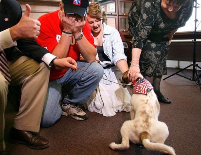 Puppy Hero Gives Hope to a Dead Soldier’s Family