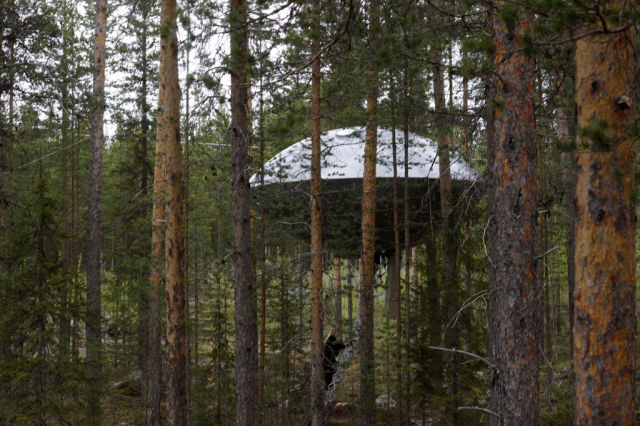 The Most Unusual Treehouse Ever