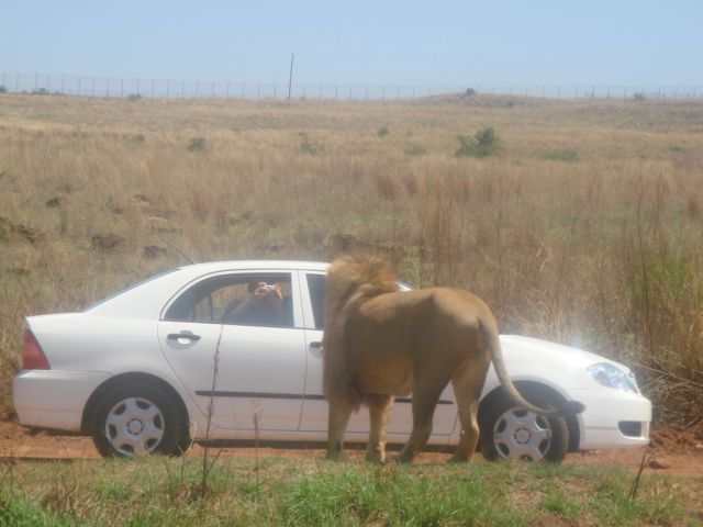 Only in Africa! Part 2