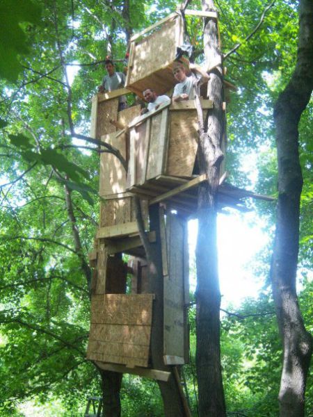 Building a Tree Fort