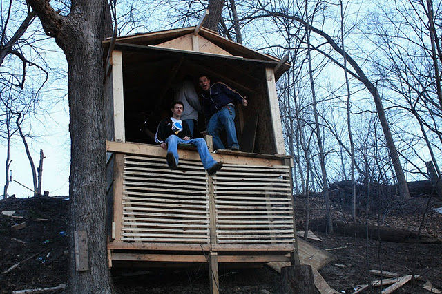 Building a Tree Fort