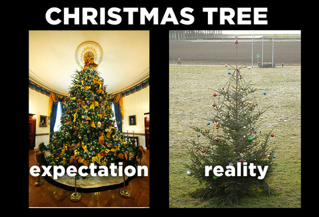 Holiday Expectations Smacking Into Reality (12 pics 