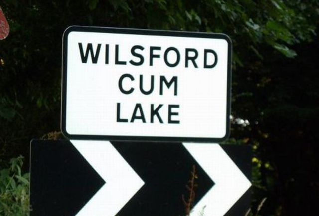 WTF Sign Collection