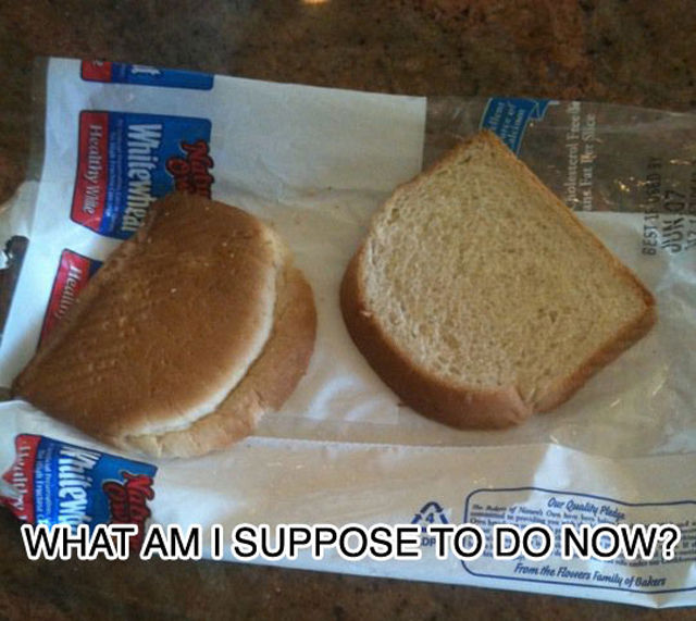 First World Problems (25 pics) - Izismile.com
 First World Problems Cookie
