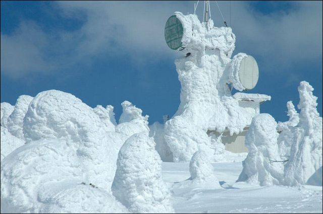 "Snow Monsters" in Japan