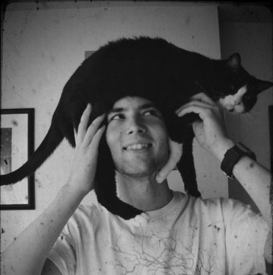 Cats as Hats