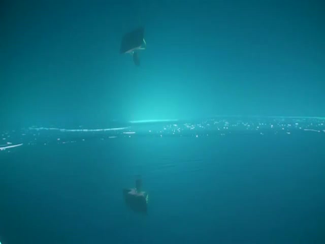 Mindblowing Underwater Experiment 