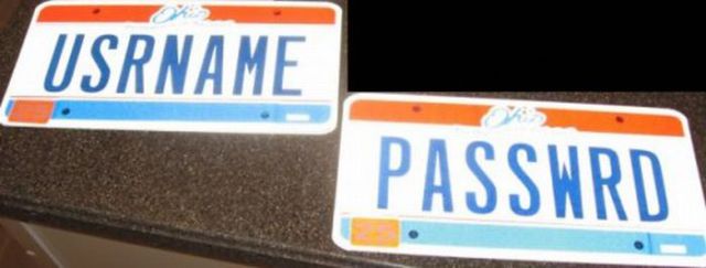 License Plates That Stand Out